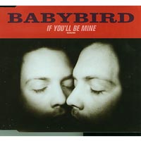 Babybird  If You