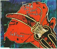 Toad The Wet Sprocket Fall Down CDs