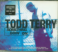 Todd Terry Something Goin On CDs