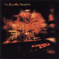 Cinematic Orchestra Every Day CD