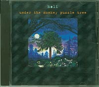 Holi Under the monkey puzzle tree CD