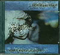 Pineapple Thief Variations on a Dream CD