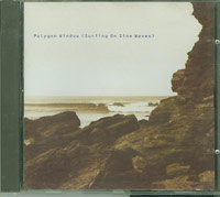 Polygon Window Surfing On Sine Waves CD