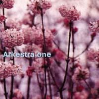 Arkestra One CD