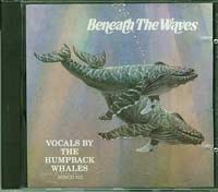 Beneath the Waves, Jonas Kvarnstrom and Stefan Schramm £10.00