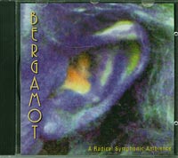 Bergamot Radical Symphonic Ambience  CD