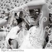 Bjork  Vespertine CD