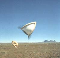 Cranberries Bury the hatchet  CD