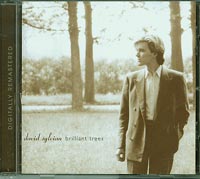 David Sylvian Brilliant Trees CD