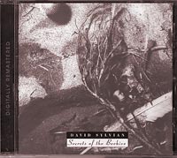 David Sylvian Secrets of the Beehive CD