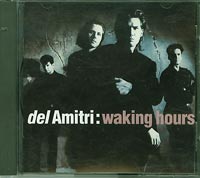 Del Amitri  Waking Hours CD