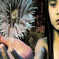 Lifeforms, Future sound of London  £2.99