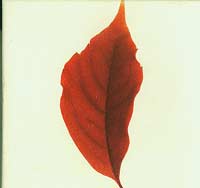 Various Renaissance The Mix Collection Part 4 CD Various Renaissance The Mix Collection Part 4 CD