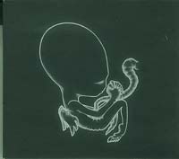 Agaelis Byrjan, Sigur Ros 3.00