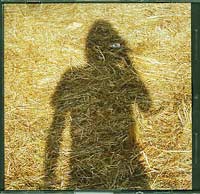 Steven Wilson Unreleased Electronic Music CD